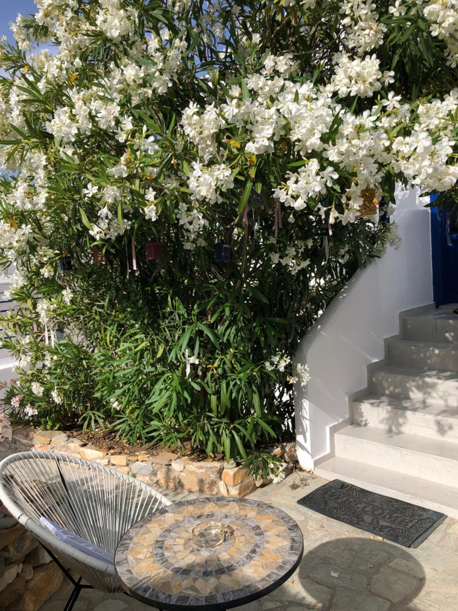 Alopronia Vrahos Rooms - Studios מראה חיצוני תמונה